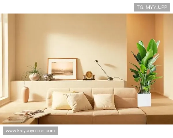 开运大全中的风水布局技巧,打造吉祥如意的居家环境